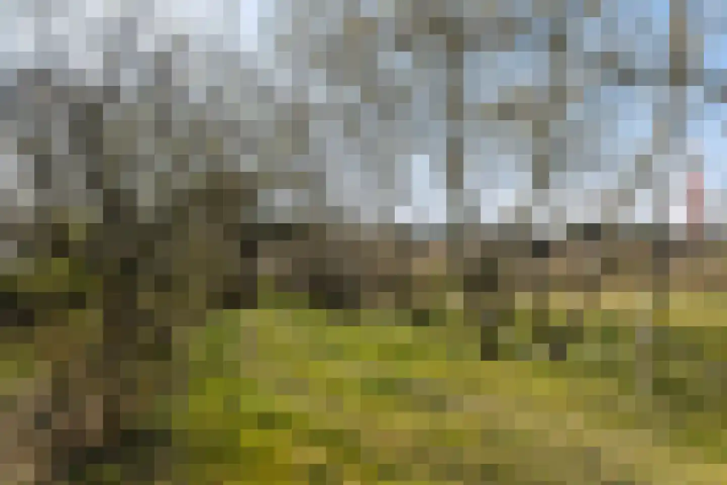 Oranjeweg 42 a Hollum thumbnail 21