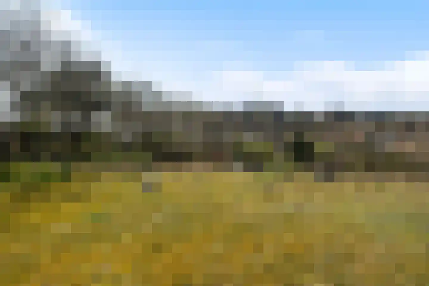 Oranjeweg 42 a Hollum thumbnail 22
