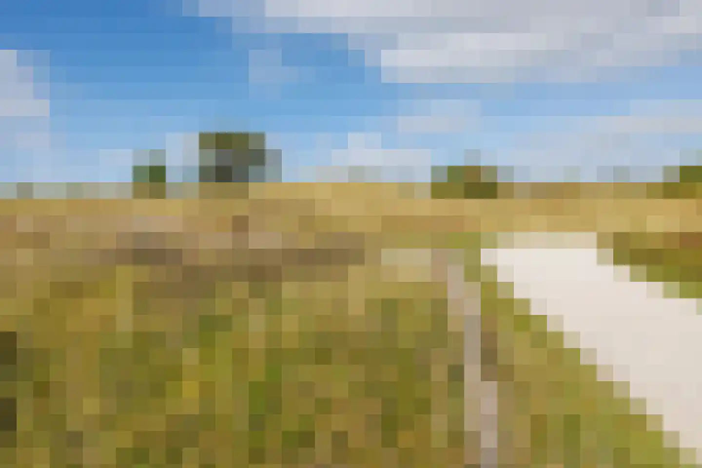 Oranjeweg 46 Hollum thumbnail 31