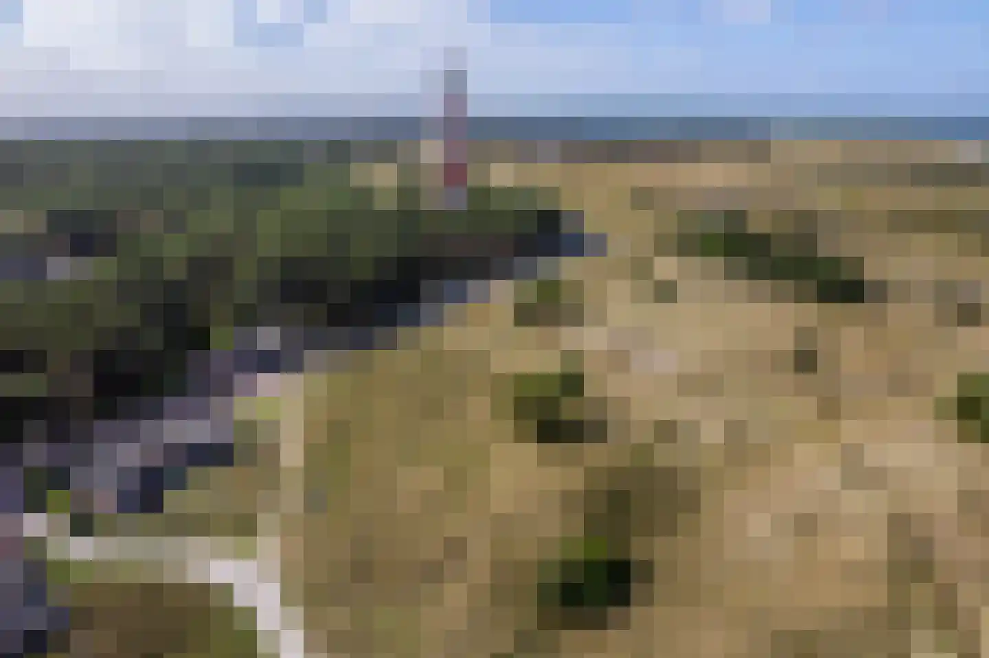 Oranjeweg 46 Hollum thumbnail 41