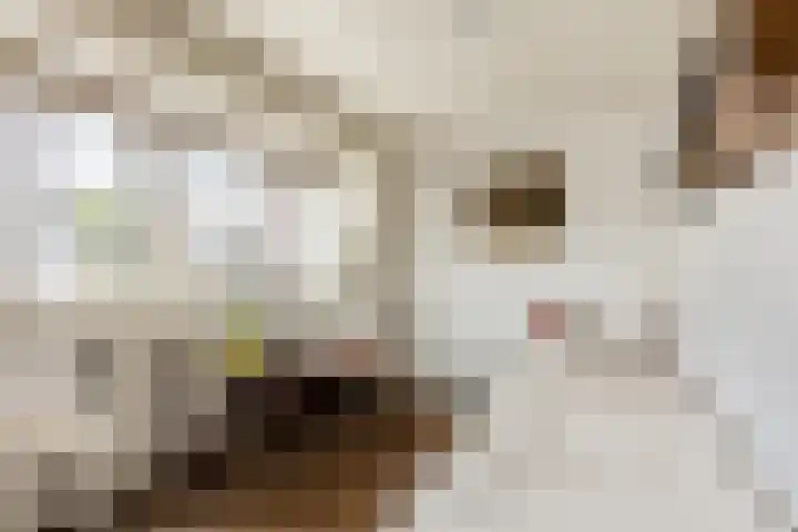 Oranjeweg 47 Kortenhoef thumbnail 14