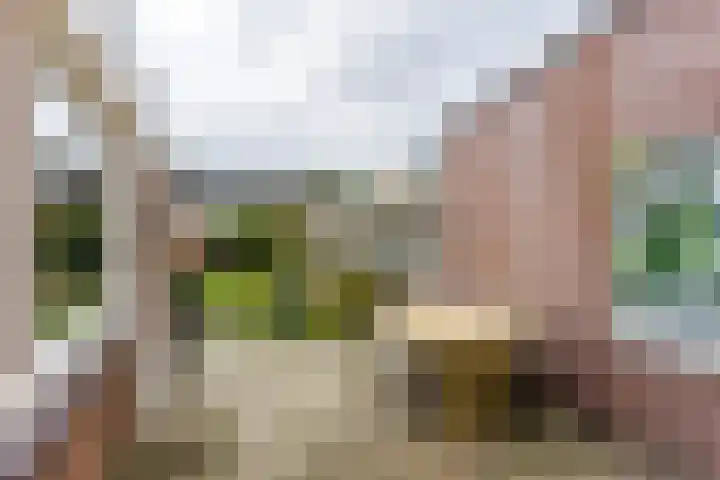 Oranjeweg 47 Kortenhoef thumbnail 17