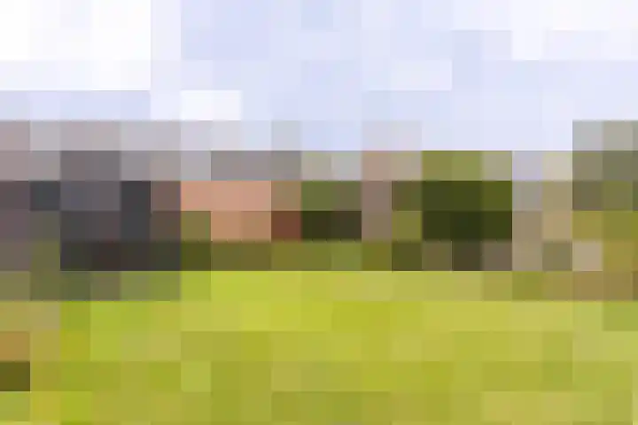 Oranjeweg 47 Kortenhoef thumbnail 19