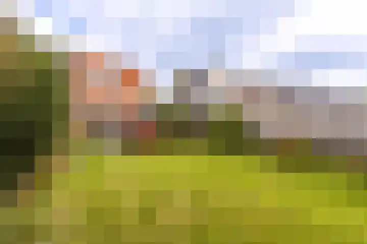 Oranjeweg 47 Kortenhoef thumbnail 21