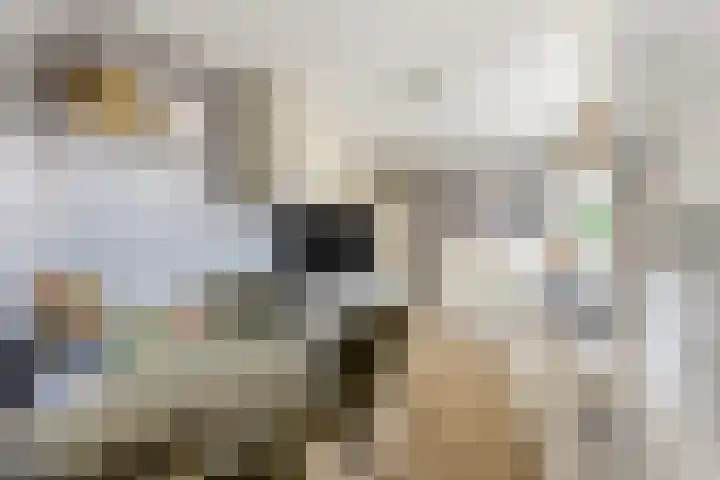 Oranjeweg 47 Kortenhoef thumbnail 8