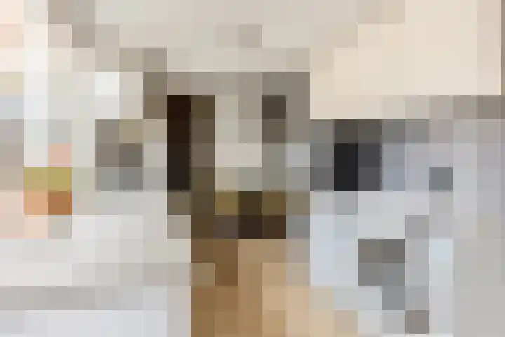 Oranjeweg 47 Kortenhoef thumbnail 9