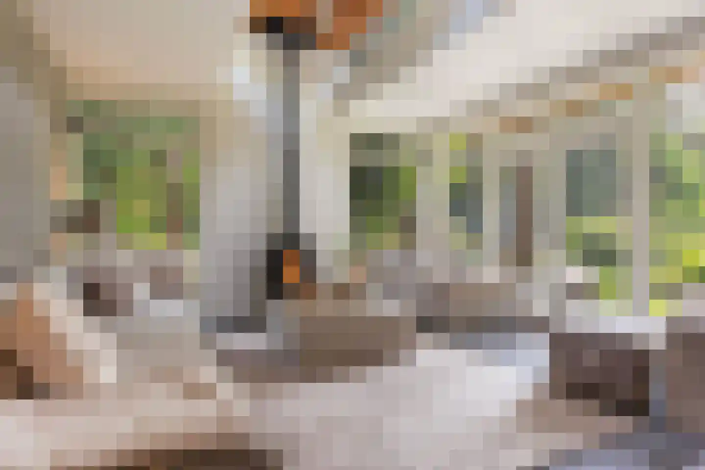 Oranjeweg 78 Emst thumbnail 15