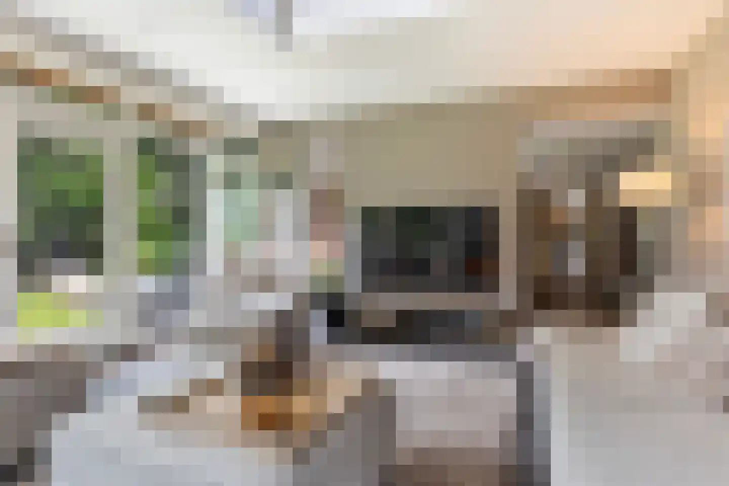 Oranjeweg 78 Emst thumbnail 18