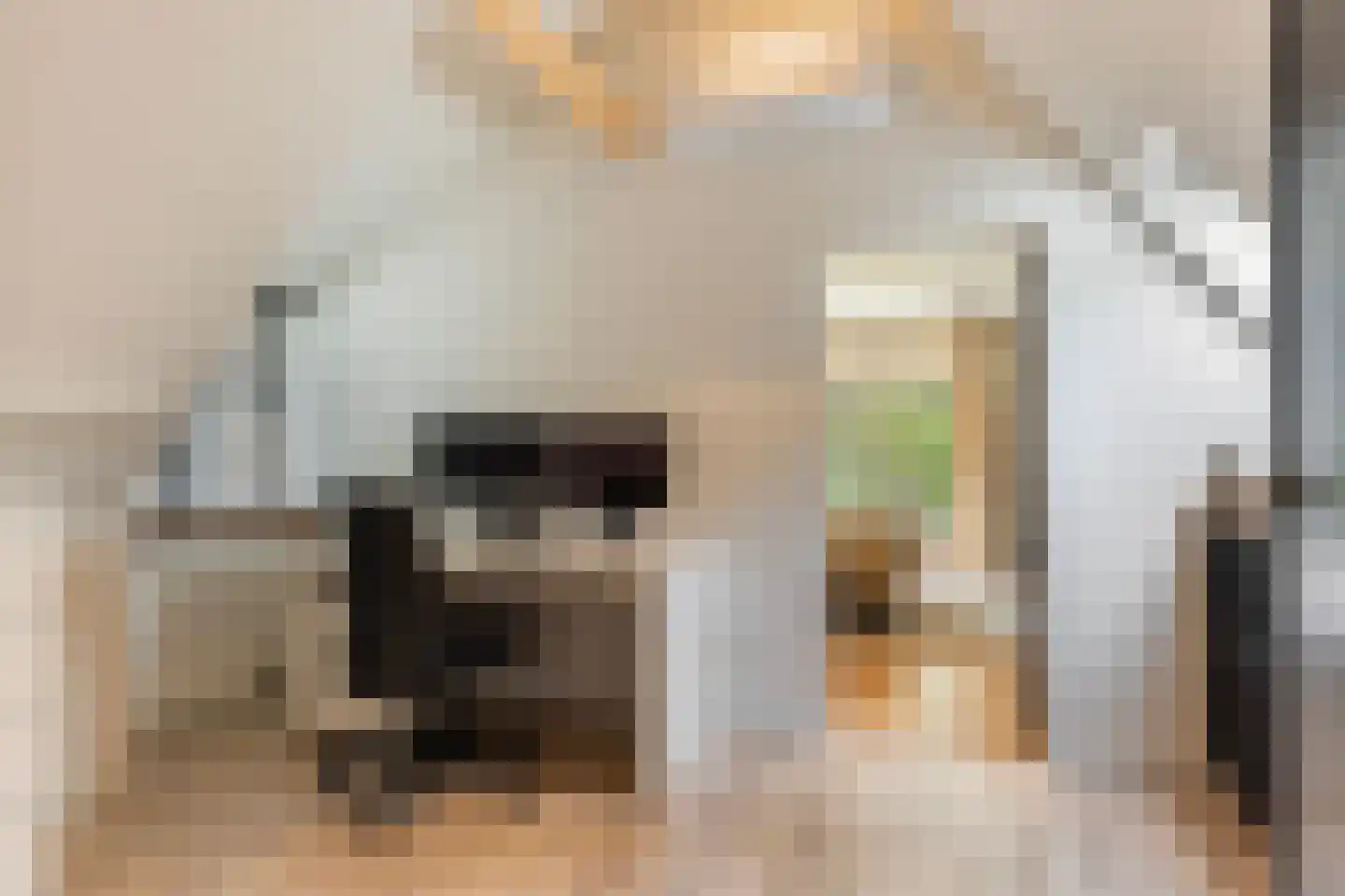 Oranjeweg 78 Emst thumbnail 29