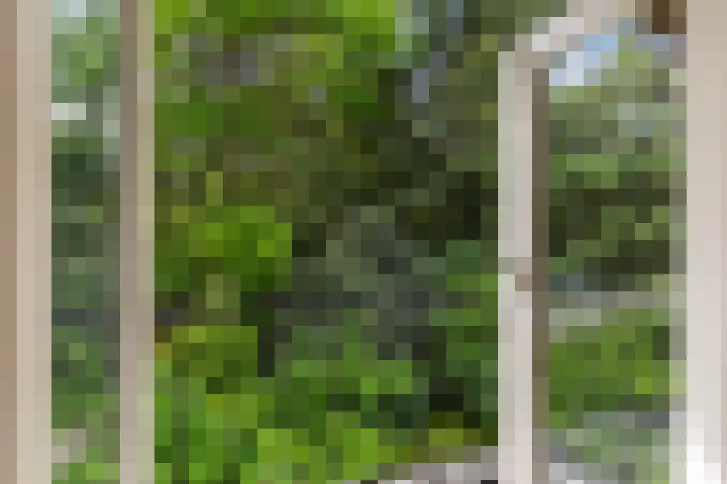 Oranjeweg 78 Emst thumbnail 31