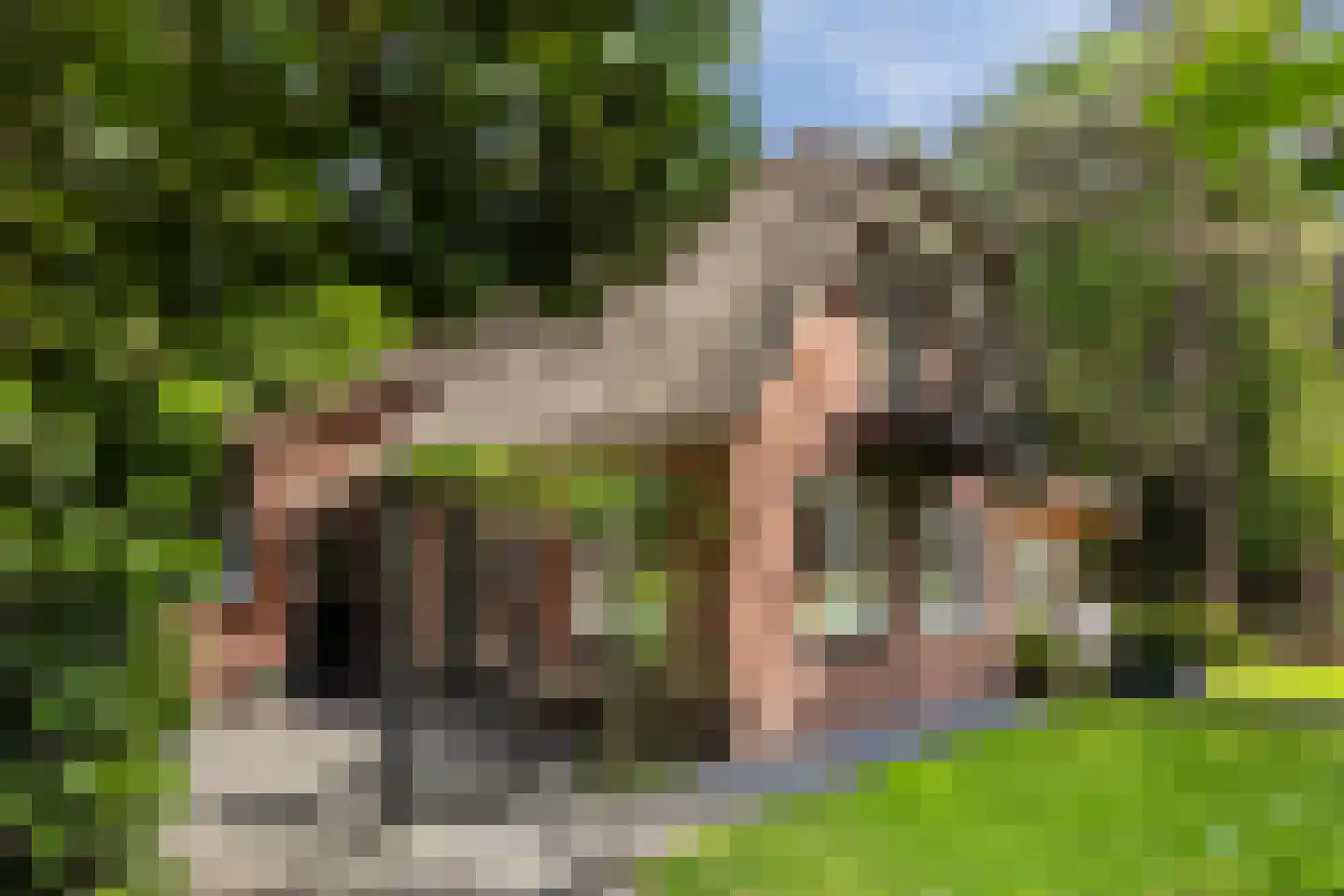 Oranjeweg 78 Emst thumbnail 34