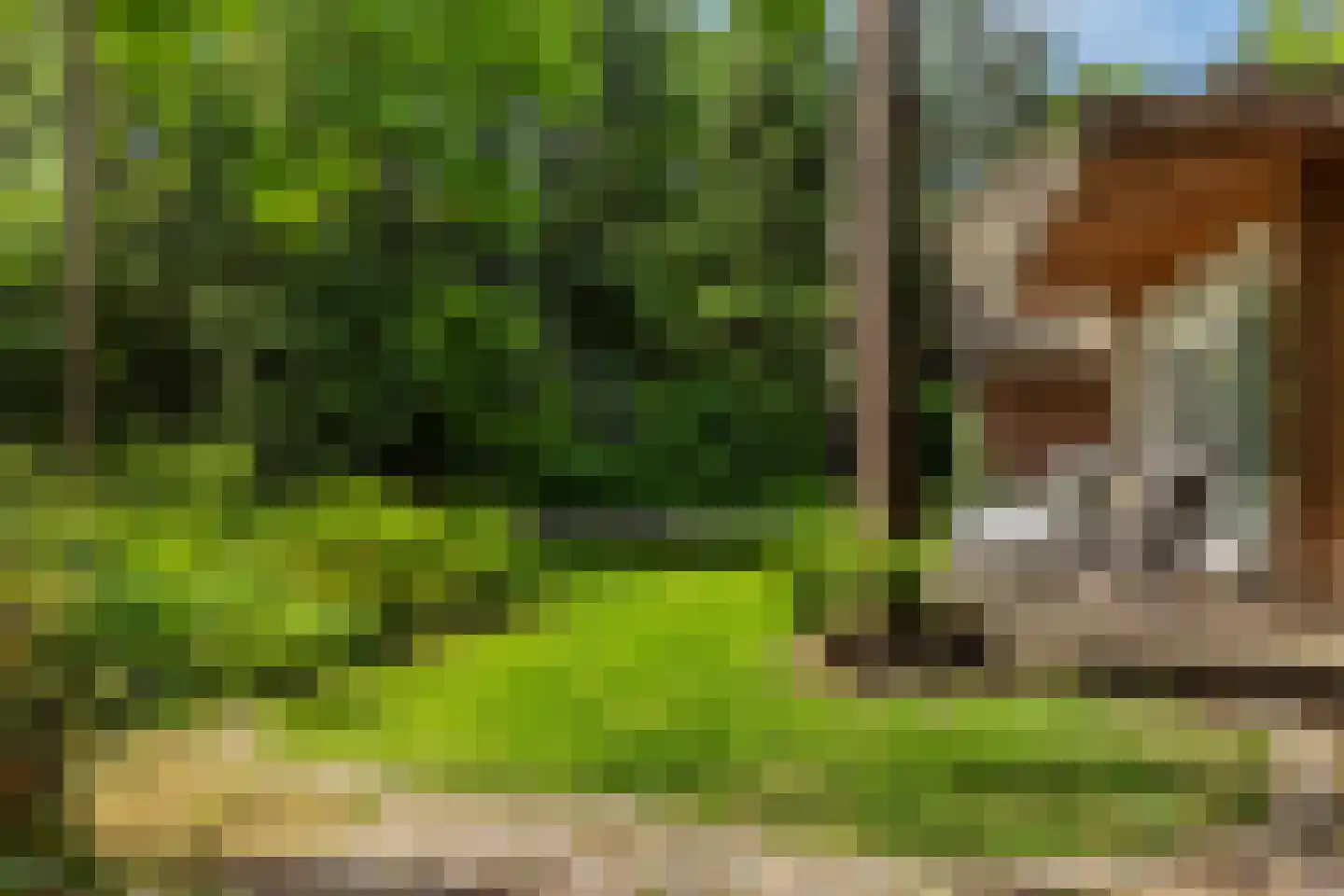 Oranjeweg 78 Emst thumbnail 35