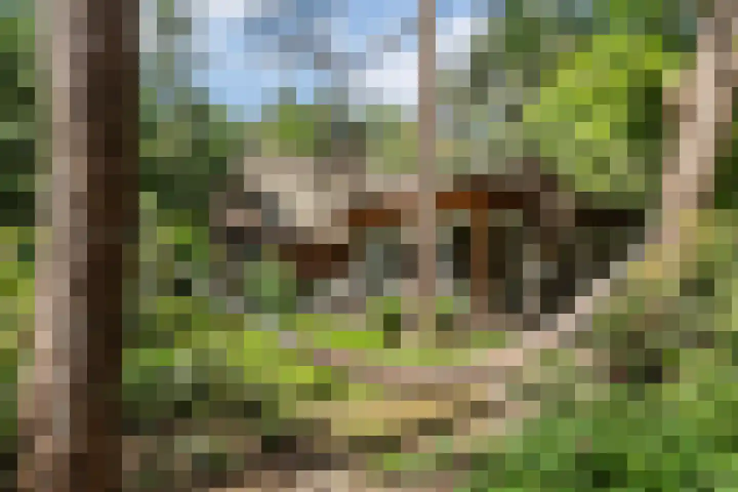 Oranjeweg 78 Emst thumbnail 36