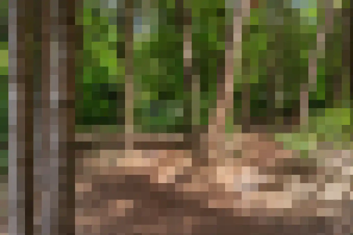 Oranjeweg 78 Emst thumbnail 37