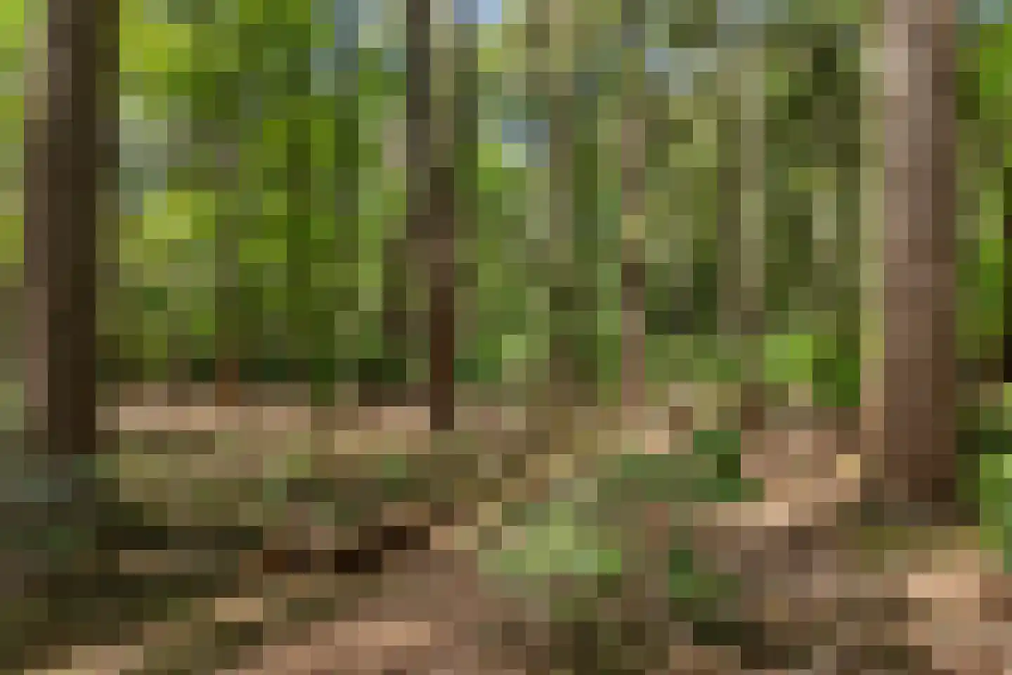 Oranjeweg 78 Emst thumbnail 38