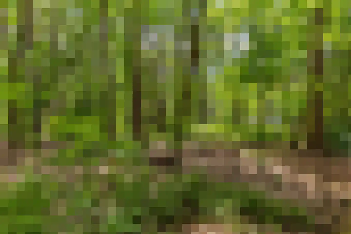 Oranjeweg 78 Emst thumbnail 39