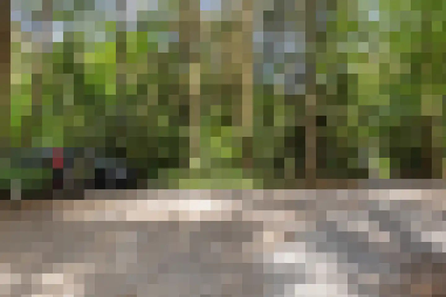 Oranjeweg 78 Emst thumbnail 48