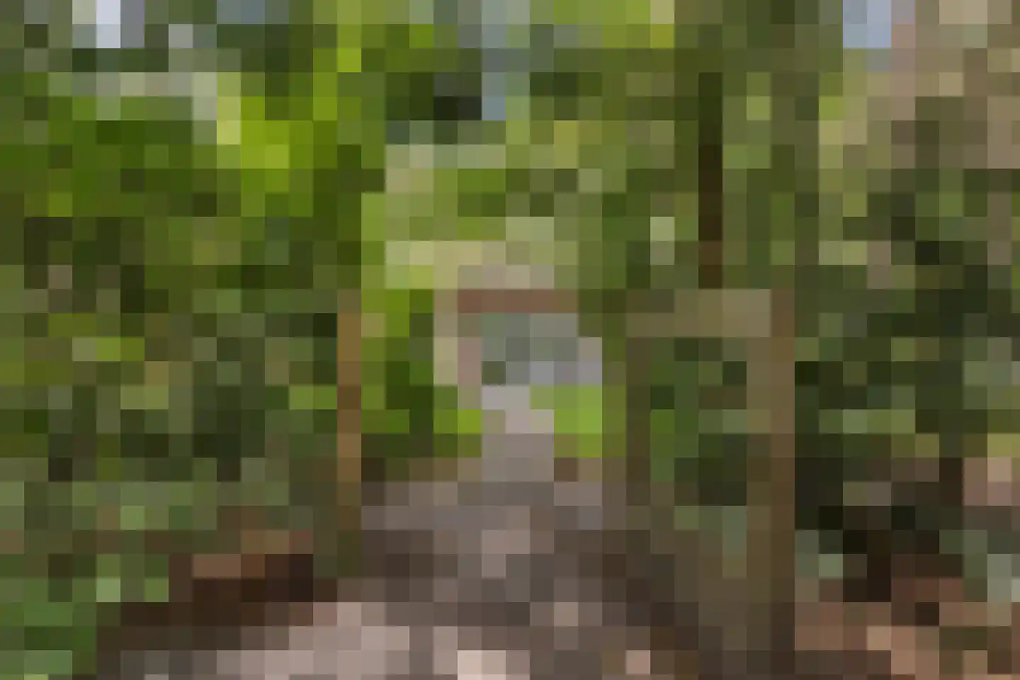 Oranjeweg 78 Emst thumbnail 5
