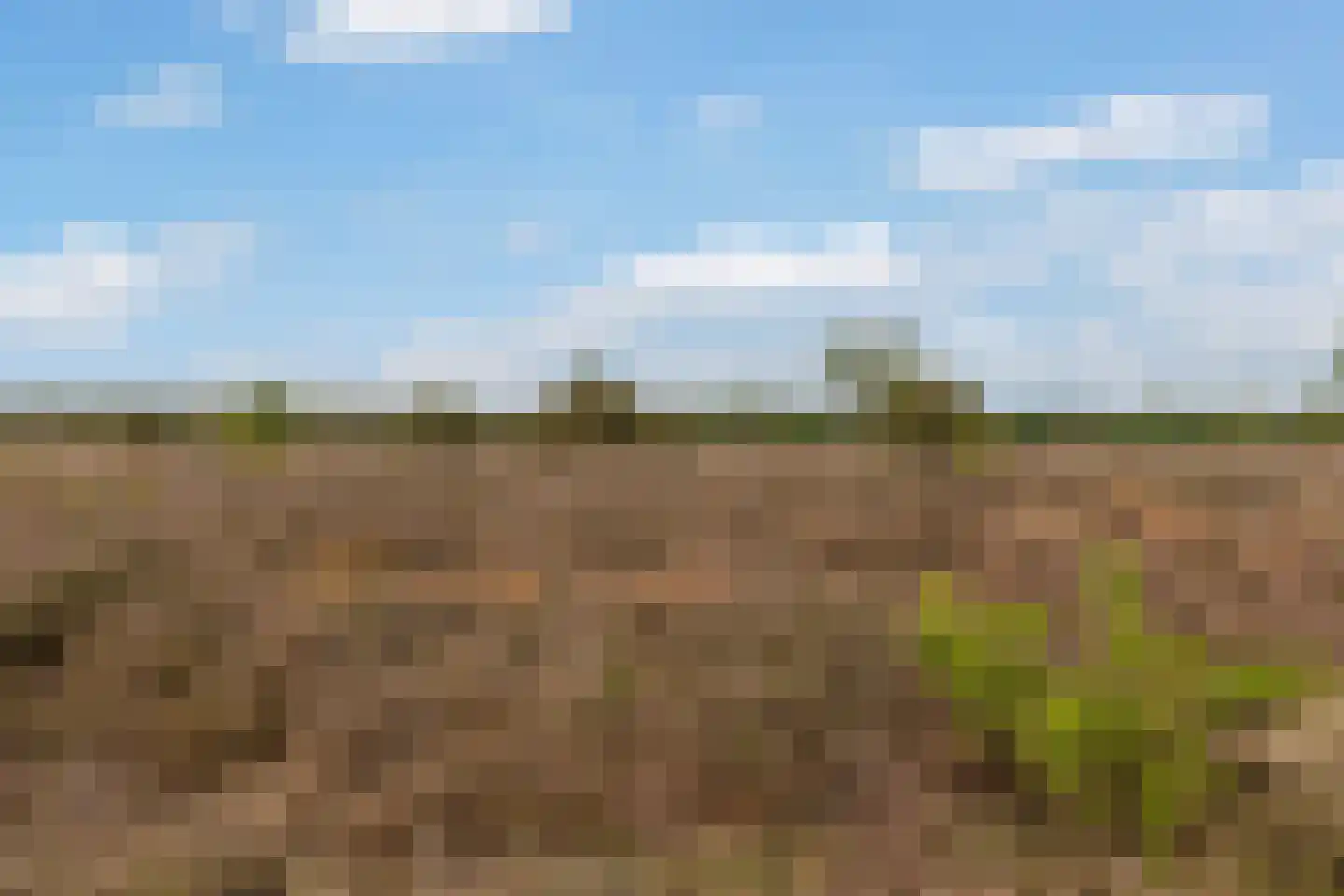 Oranjeweg 78 Emst thumbnail 54