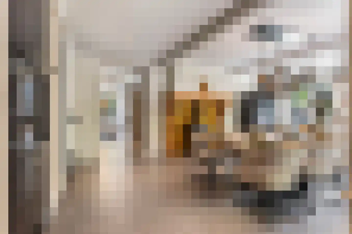 Oranjeweg 78 Emst thumbnail 7