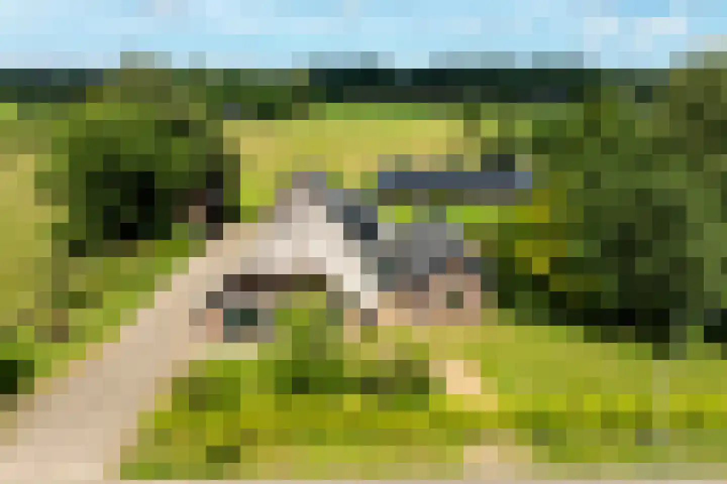 Oranjeweg 90 Emst thumbnail 11