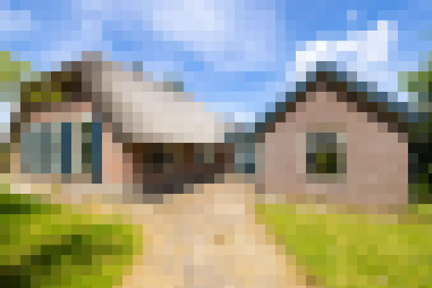 Oranjeweg 90 Emst thumbnail 12