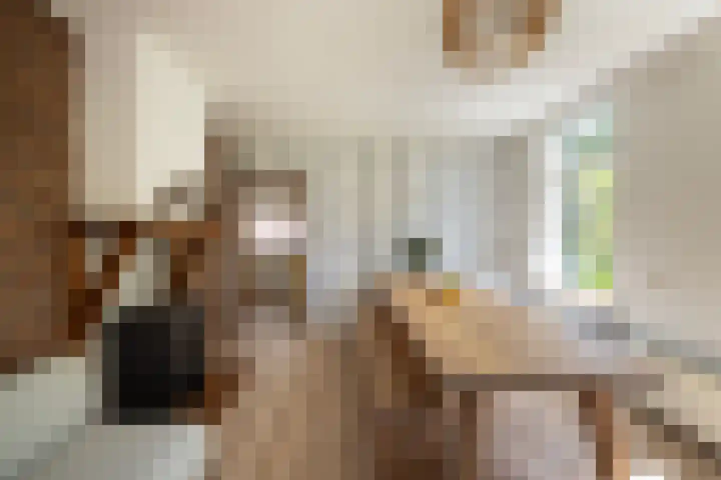 Oranjeweg 90 Emst thumbnail 20
