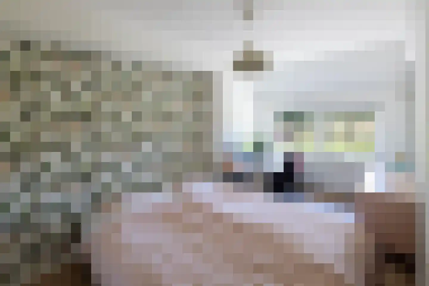 Oranjeweg 90 Emst thumbnail 22