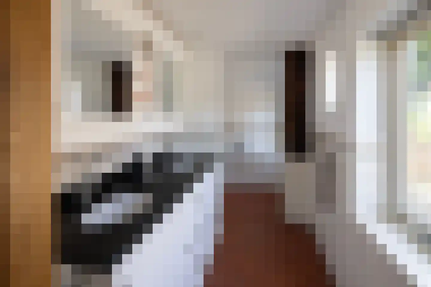 Oranjeweg 90 Emst thumbnail 23