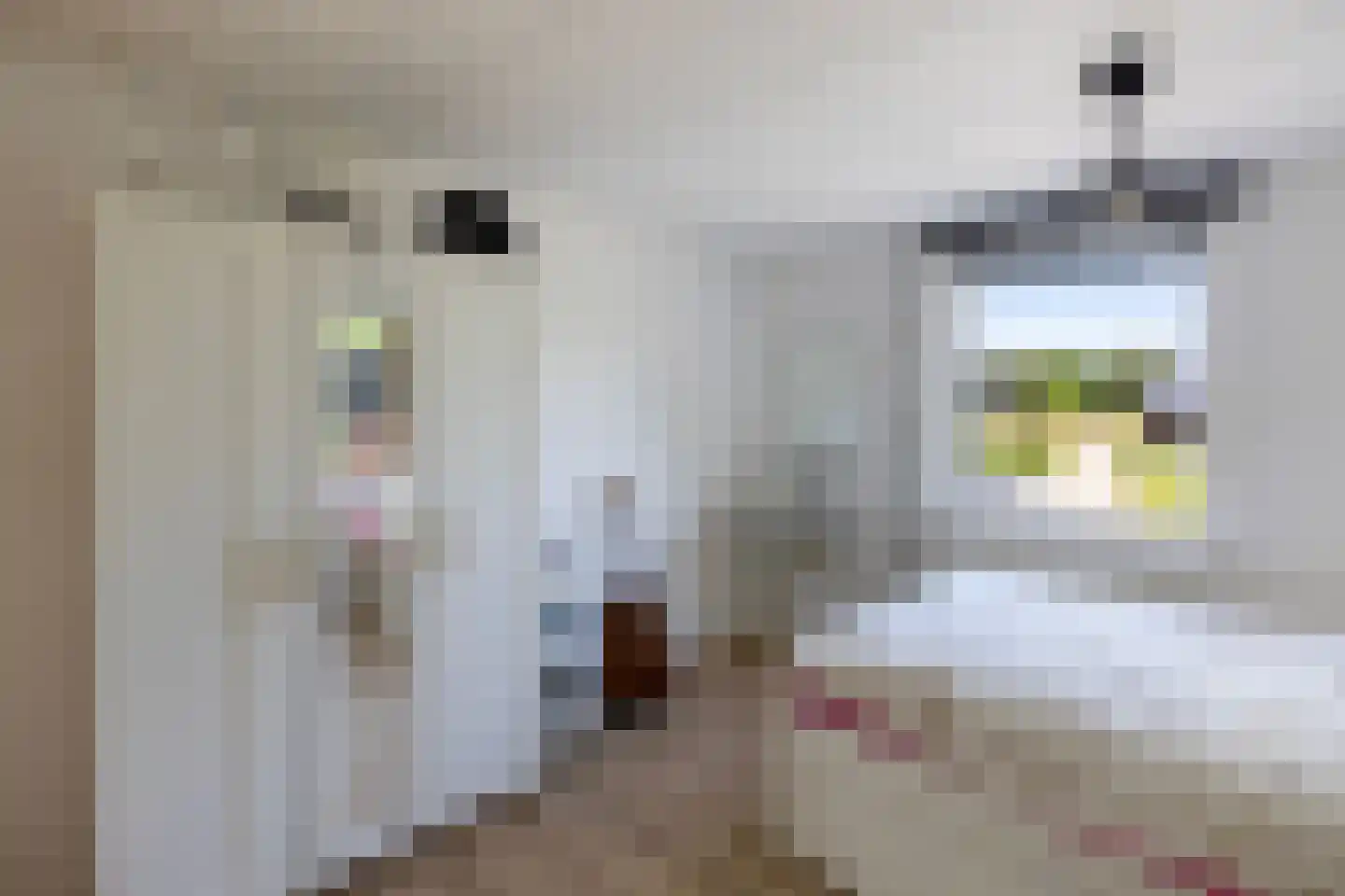 Oranjeweg 90 Emst thumbnail 30