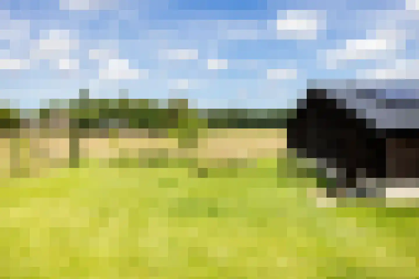 Oranjeweg 90 Emst thumbnail 44