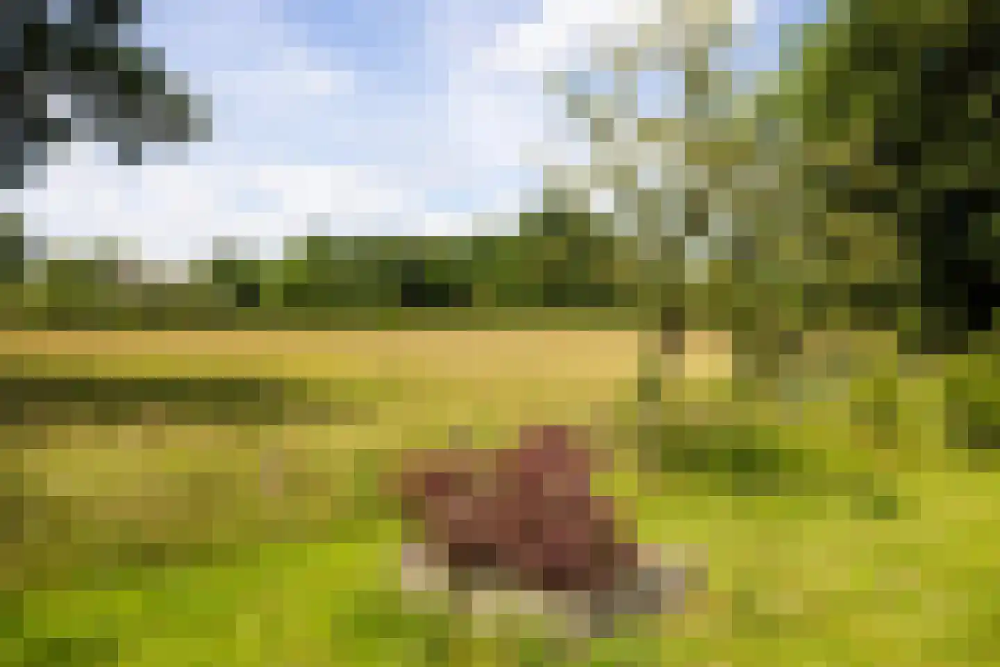 Oranjeweg 90 Emst thumbnail 45