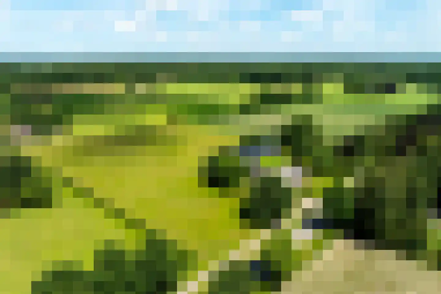 Oranjeweg 90 Emst thumbnail 7