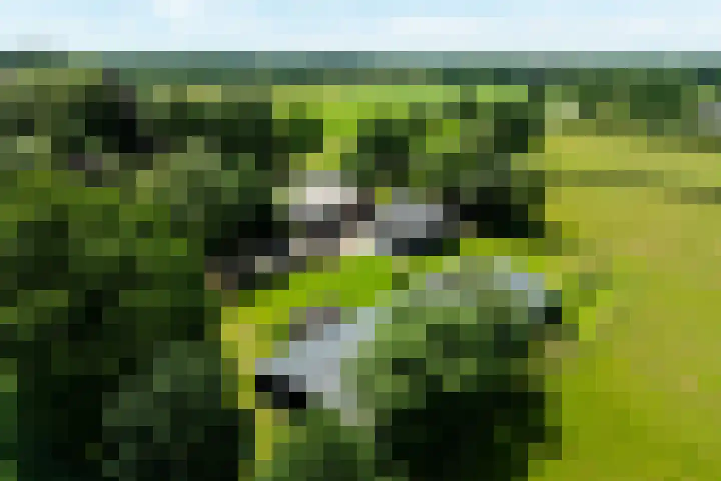 Oranjeweg 90 Emst thumbnail 8