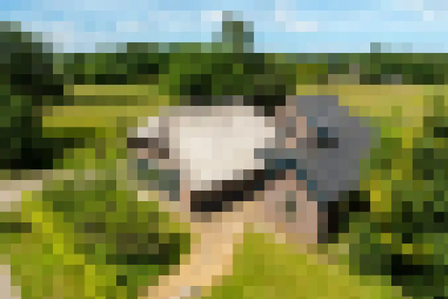 Oranjeweg 90 Emst thumbnail 9