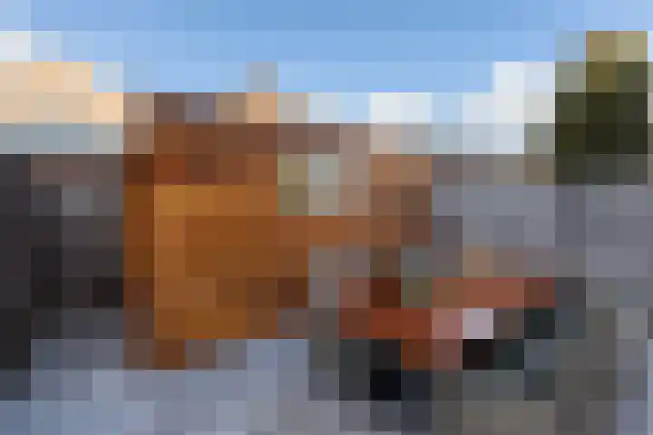 Oranjewerf 60 Maasdijk thumbnail 36