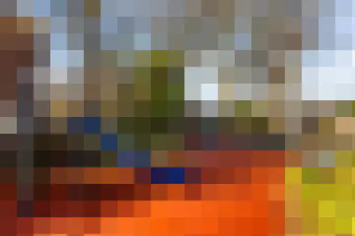 Oranjewerf 60 Maasdijk thumbnail 52