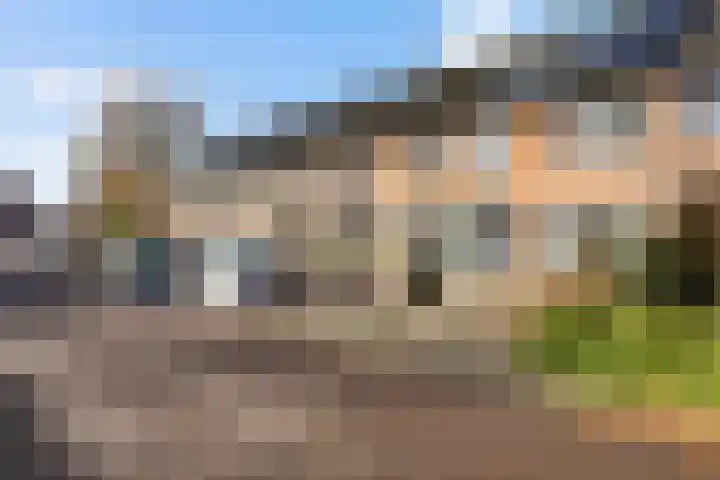Oranjewerf 60 Maasdijk thumbnail 55