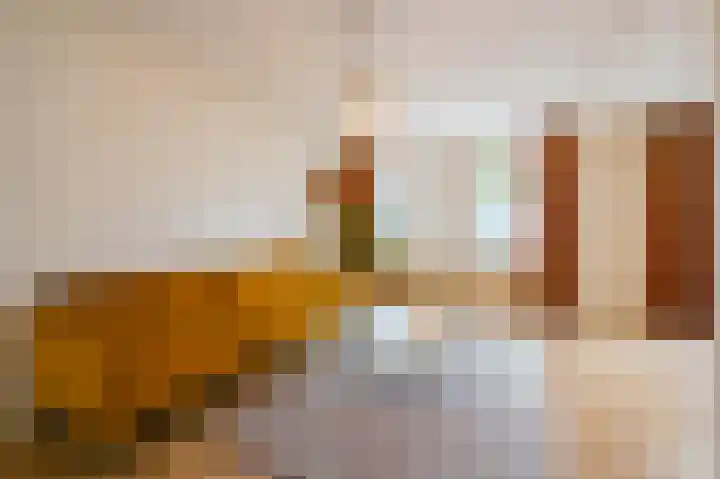 Oranjewoudstraat 26 Den Haag thumbnail 8