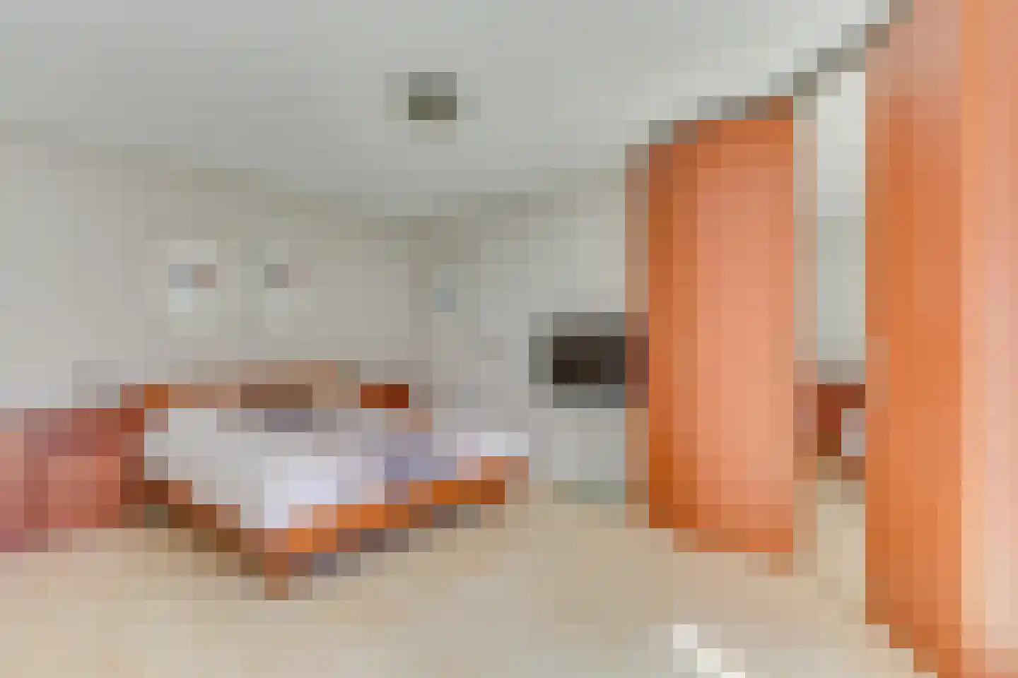 Oranjezon 6 Limmen thumbnail 18