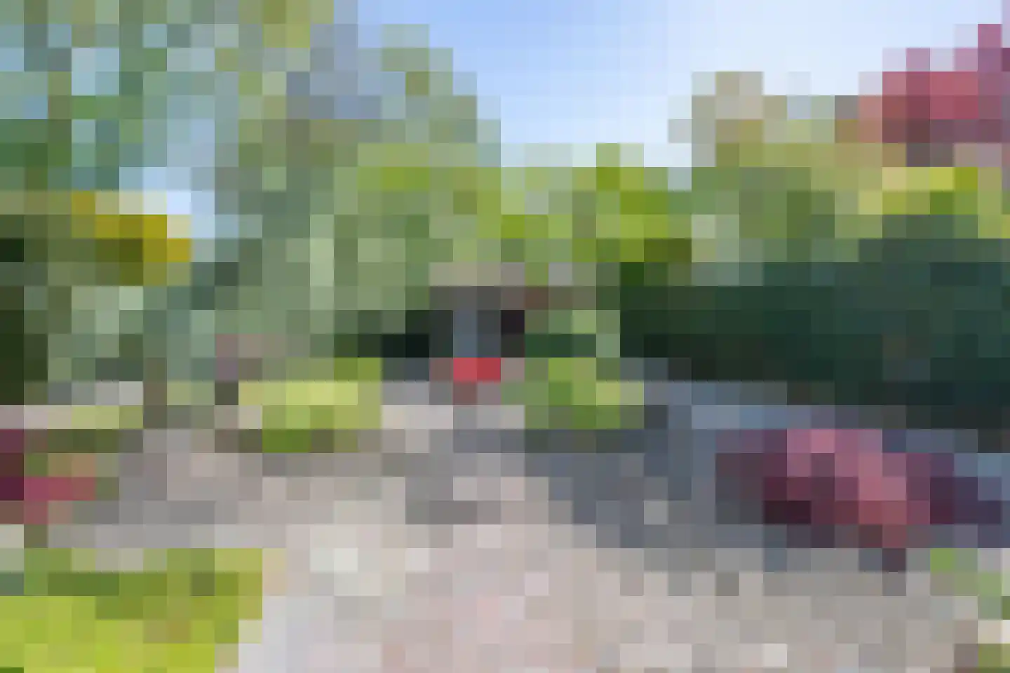 Oranjezon 6 Limmen thumbnail 39