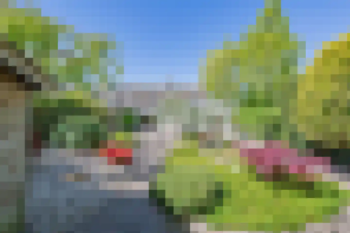 Oranjezon 6 Limmen thumbnail 4