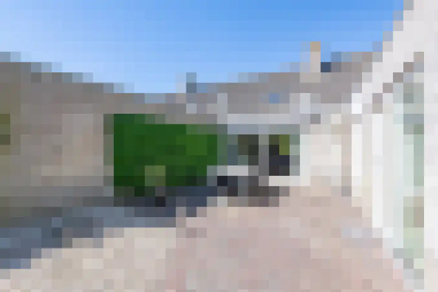Oranjezon 6 Limmen thumbnail 43