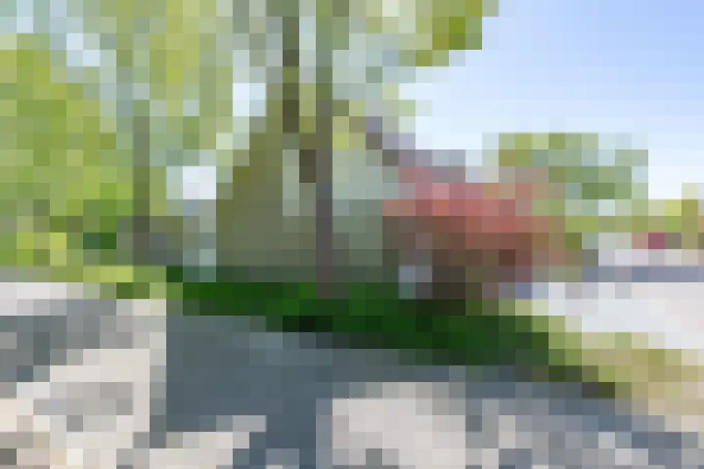 Oranjezon 6 Limmen thumbnail 47