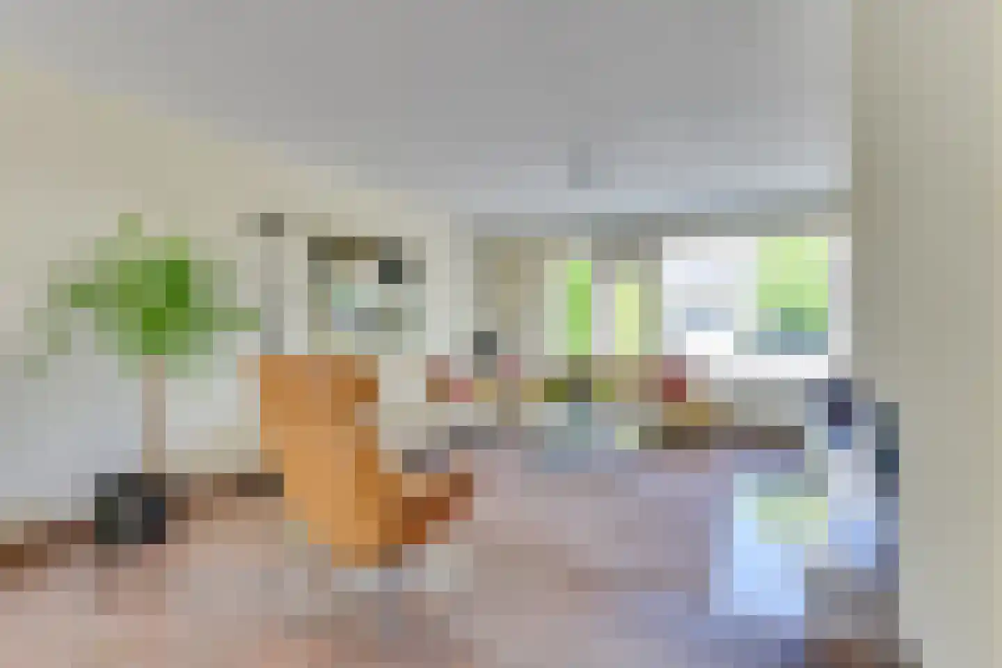 Oranjezon 6 Limmen thumbnail 7