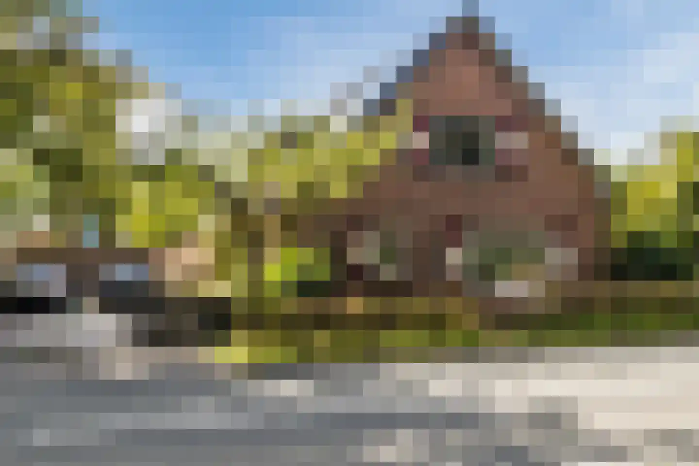 Orberlaan 1 in Monster