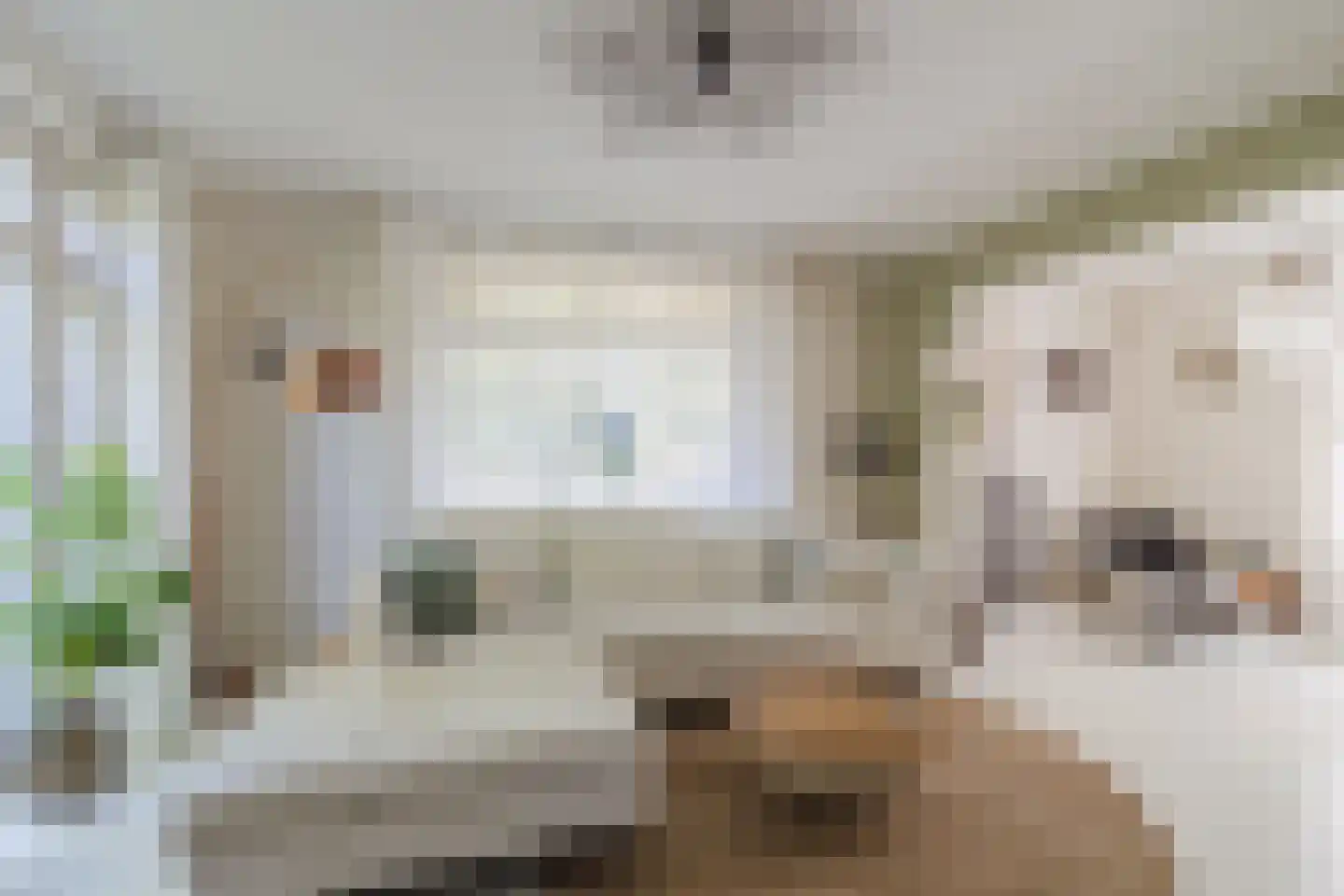 Orberlaan 1 Monster thumbnail 12