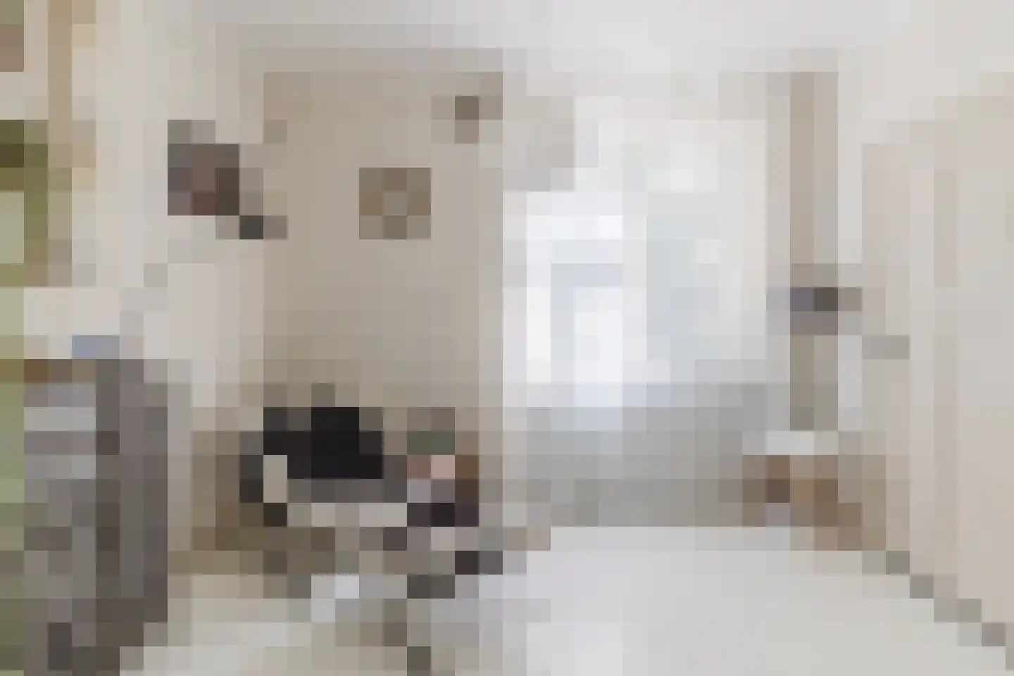 Orberlaan 1 Monster thumbnail 14