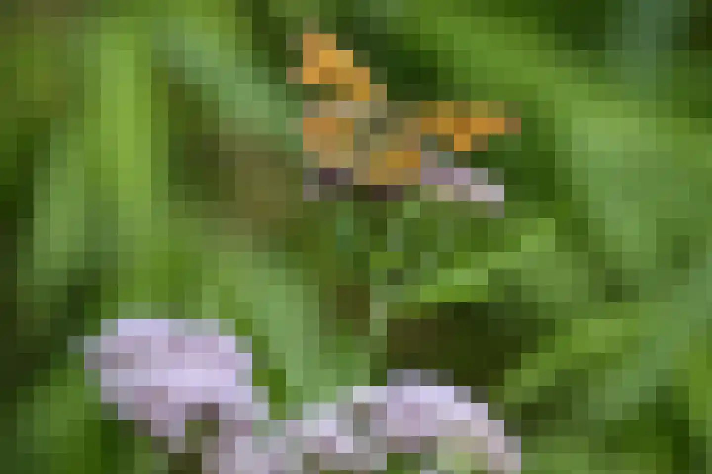 Orberlaan 1 Monster thumbnail 35