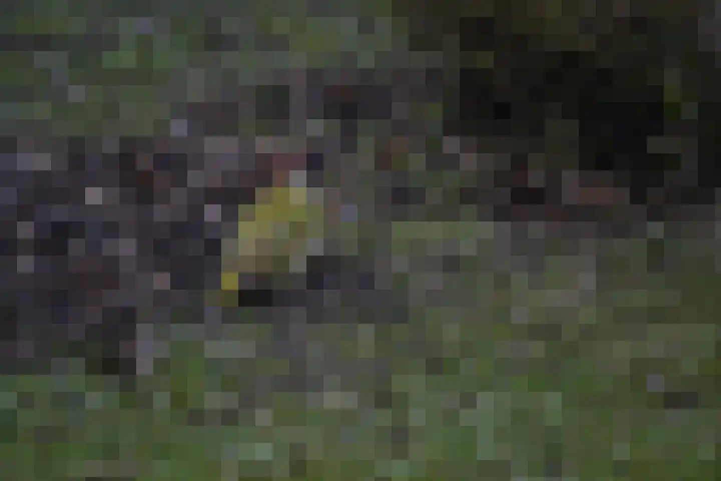 Orberlaan 1 Monster thumbnail 38